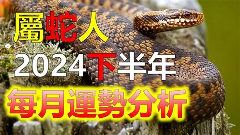 屬蛇的幸運色|2024年屬蛇適合什麼顏色？掌握幸運色提升運勢 